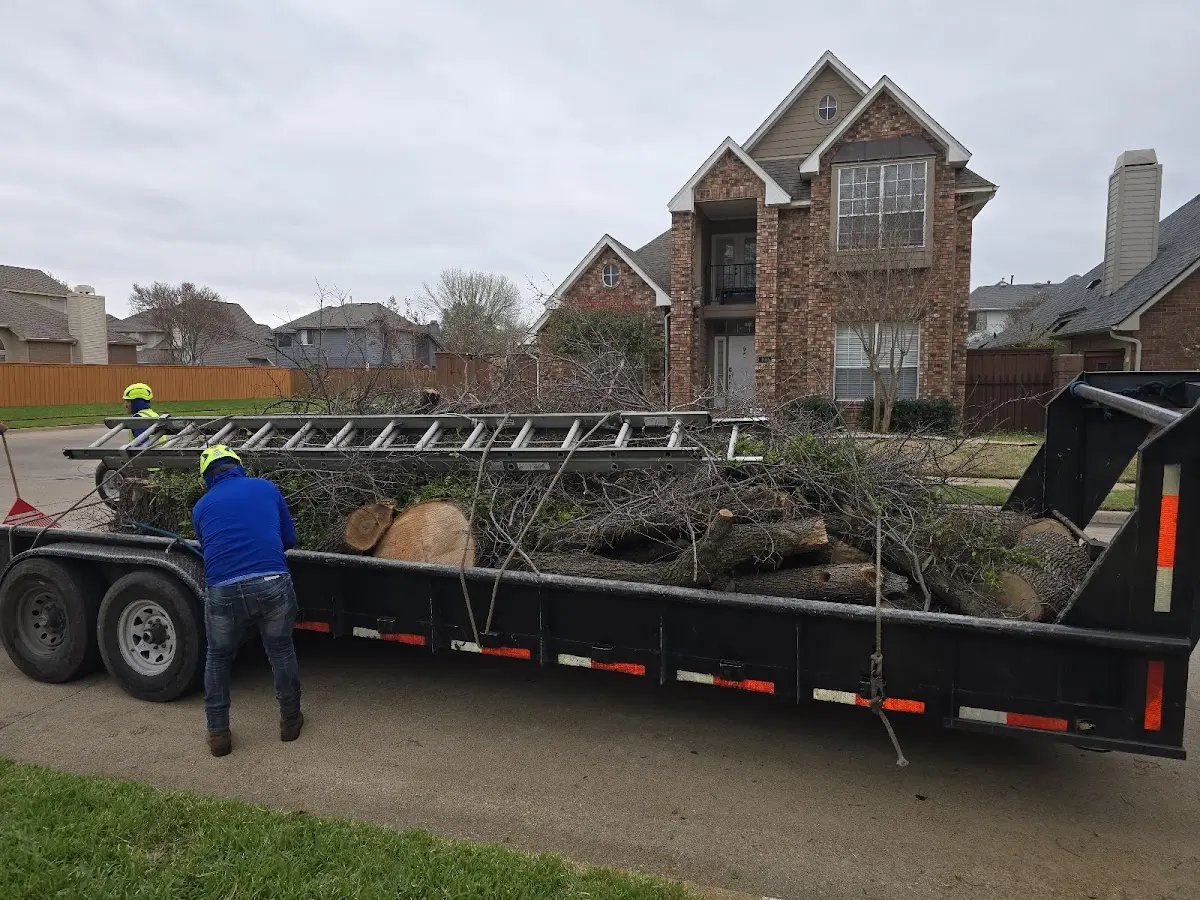 Expert Lot Clearing with proper safety equipment in Exeter